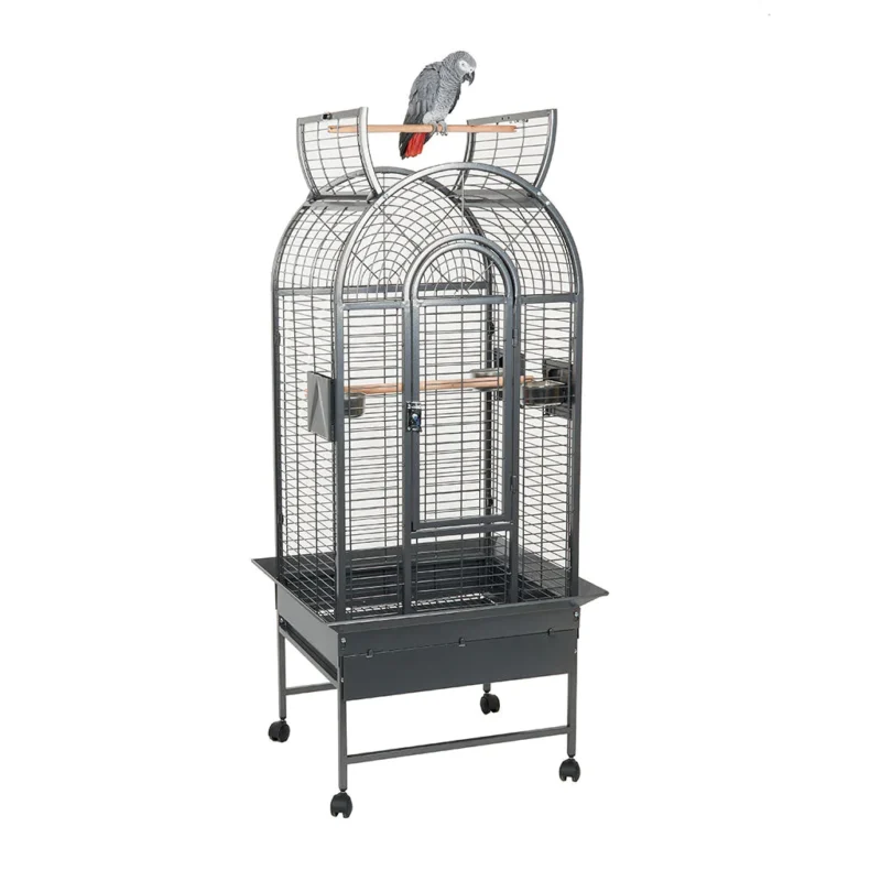 bird cages amazon