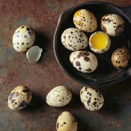 Quail Eggs for sale